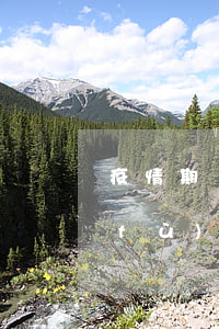 疫情期間，各地出臺了企業(yè)推遲復(fù)工的文件，勞動者在遲延復(fù)工期間是否有權(quán)要求企業(yè)支付勞動報酬？